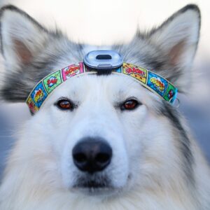 Accessoires