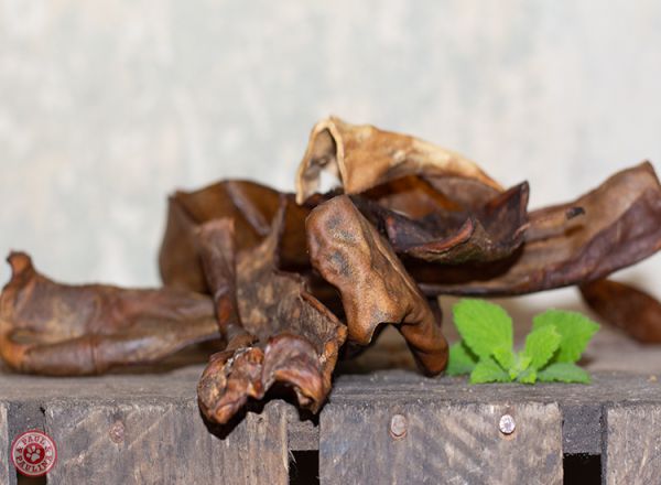 Pferdekopfhaut getrocknet – Bild 2