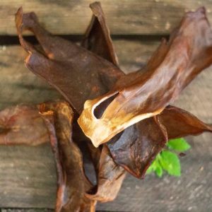 Pferdekopfhaut getrocknet