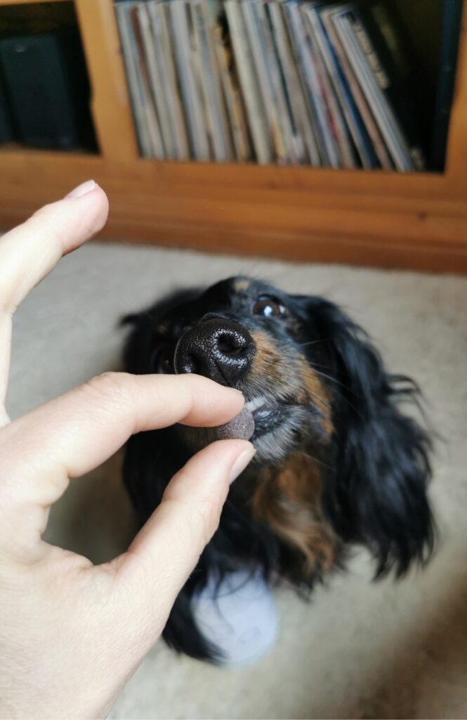 Nacani - No. 02 Fisch Minis – Bild 5