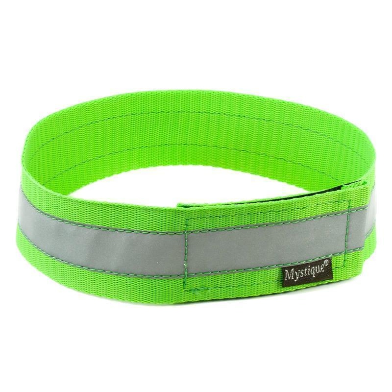 Mystique Signalhalsband – Bild 3