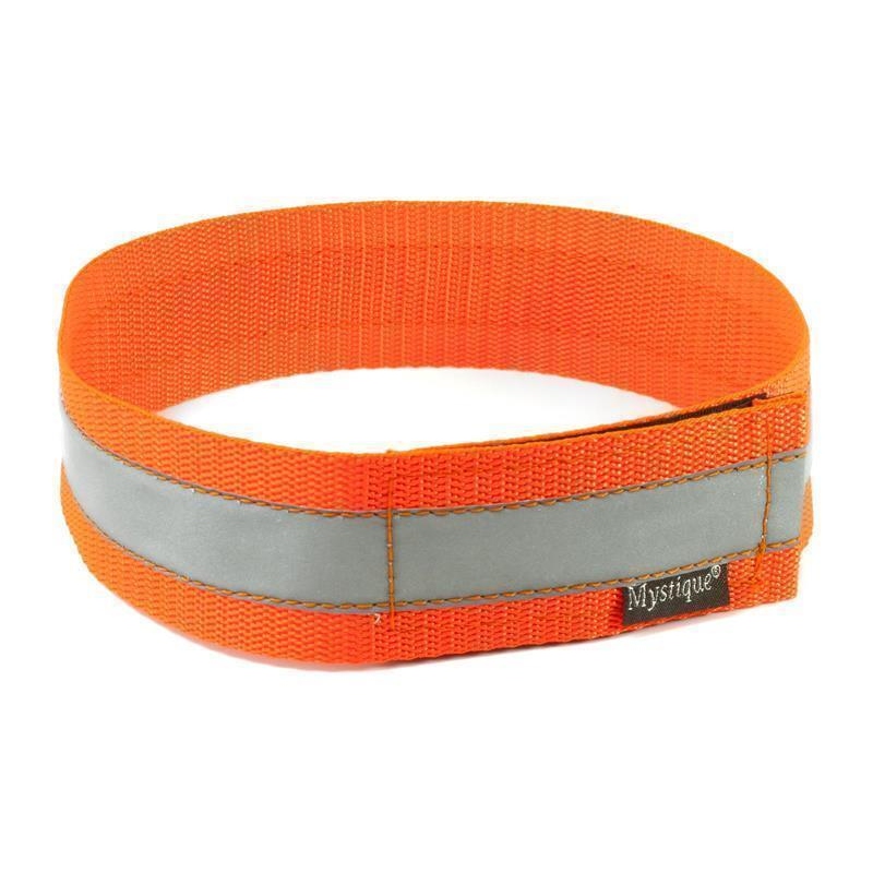 Mystique Signalhalsband – Bild 2